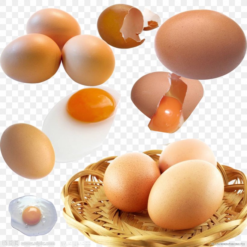 Egg White Yolk Food Eiersplitser, PNG, 1024x1024px, Egg, Bidorbuy, Boiled Egg, Chicken Egg, Commerce Download Free