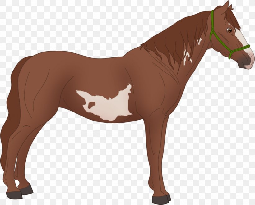 Mane Pony Mare Mustang Stallion, PNG, 900x725px, Mane, American Miniature Horse, American Paint Horse, Animal Figure, Bridle Download Free