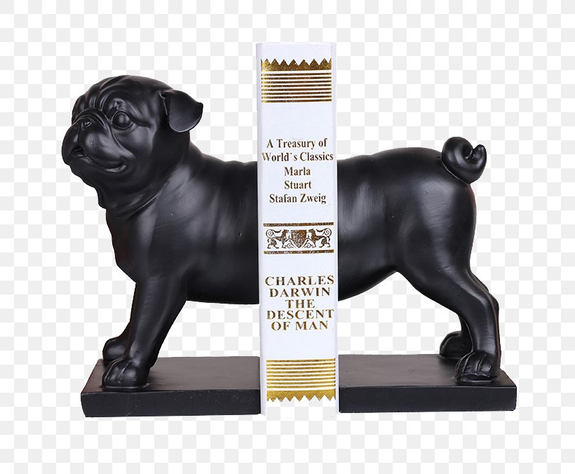 Pug Bookend Study Room, PNG, 800x676px, Pug, Book, Bookend, Carnivoran, Companion Dog Download Free