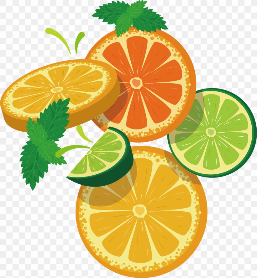 Rangpur Lemon Mandarin Orange Key Lime, PNG, 1347x1454px, Rangpur, Bitter Orange, Citric Acid, Citron, Citrus Download Free