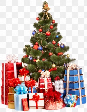 Christmas Tree Christmas Ornament Holiday, PNG, 800x1211px, Christmas ...
