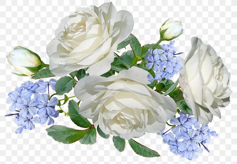 Garden Roses, PNG, 1920x1332px, Garden Roses, Artificial Flower, Blue Rose, Cabbage Rose, Cut Flowers Download Free