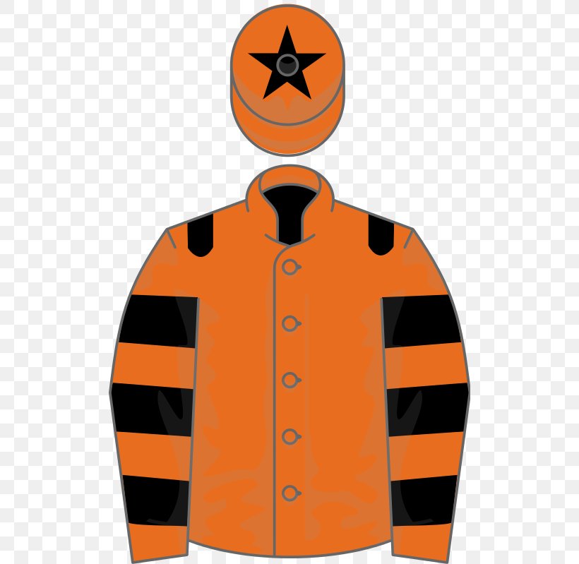 Horse National Hunt Racing Ladbrokes Trophy National Hunt Chase Challenge Cup, PNG, 512x799px, Horse, Handicap, Horse Racing, Horse Trainer, Jacket Download Free
