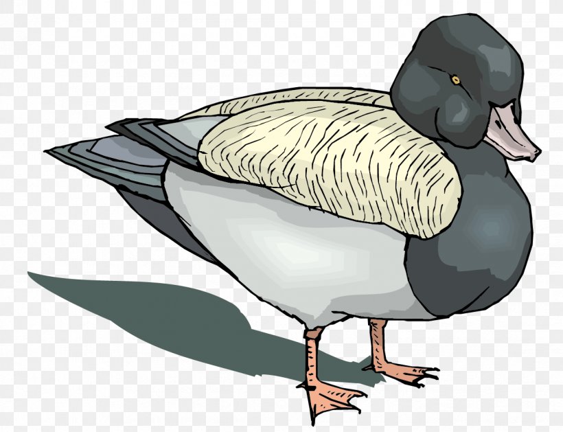 Mallard Goose Duck Game, PNG, 1233x946px, Mallard, Beak, Bird, Duck, Ducks Geese And Swans Download Free