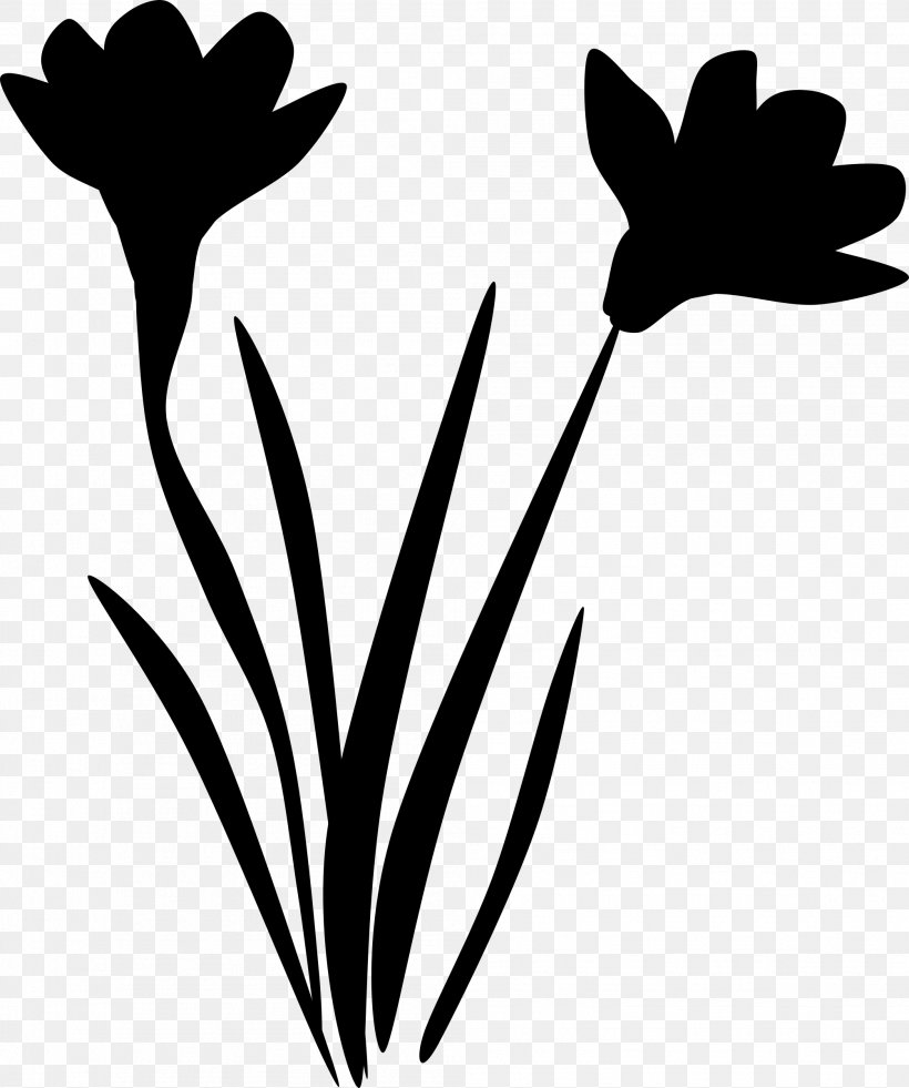 Twig Clip Art Plant Stem Leaf Silhouette, PNG, 2006x2400px, Twig, Blackandwhite, Botany, Flower, Flowering Plant Download Free