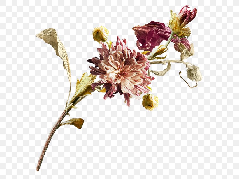 Cut Flowers Floral Design Clip Art, PNG, 650x614px, Cut Flowers, Blossom, Branch, Flora, Floral Design Download Free
