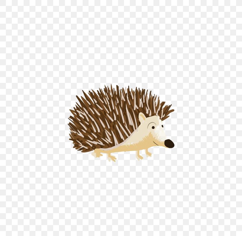 Domesticated Hedgehog Echidna Porcupine Domestication, PNG, 564x797px, Hedgehog, Cartoon, Domesticated Hedgehog, Drawing, Echidna Download Free