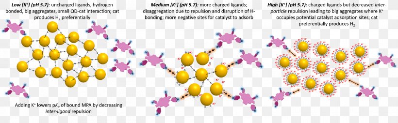 Graphic Design Photocatalysis Laboratory Quantum Dot, PNG, 2823x877px, Photocatalysis, Art, Colloid, Flora, Flower Download Free