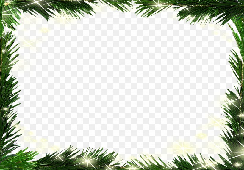 Graphic Design Photography, PNG, 2059x1442px, Photography, Christmas, Digital Photo Frame, Grass, Green Download Free