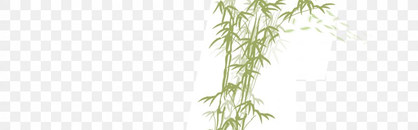 Twig Flora Plant Stem Font, PNG, 1920x600px, Twig, Area, Bamboo, Branch, Cafepress Download Free