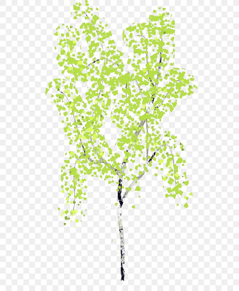 Birch Drawing Image GIMP, PNG, 640x1000px, Birch, Branch, Confetti, Drawing, Flora Download Free
