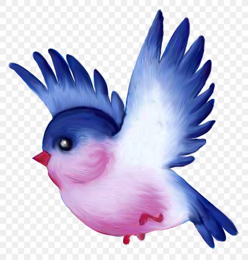 Bird Clip Art Chicken Image, PNG, 1275x1338px, Bird, Beak, Cartoon, Chicken, Drawing Download Free