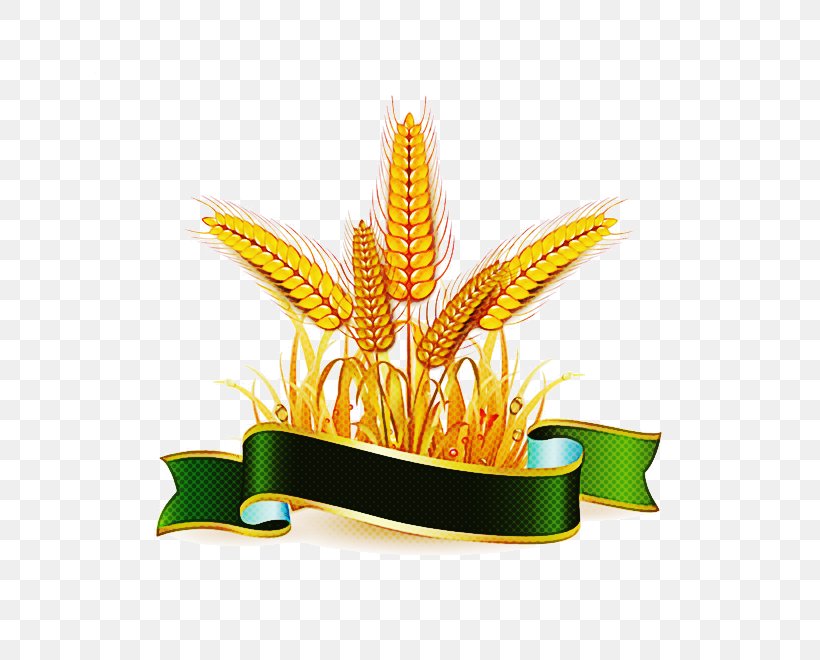 Yellow Grass Family Houseplant Plant Grass, PNG, 660x660px, Yellow, Flower, Flowerpot, Grass, Grass Family Download Free