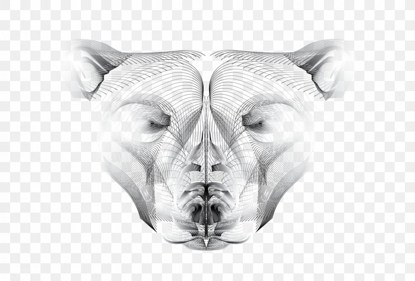 Drawing Monochrome Photography Face Snout, PNG, 1568x1062px, Drawing, Animal, Black And White, Bone, Carnivora Download Free
