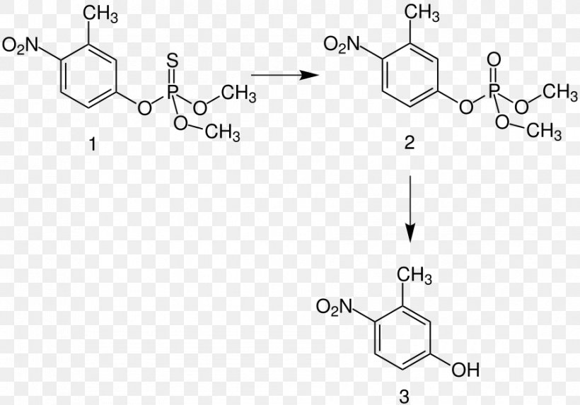 Fenitrothion Organophosphorus Compound University Of Huelva Insecticide Demethylation, PNG, 901x630px, Fenitrothion, Acaricide, Acetylcholinesterase Inhibitor, Area, Auto Part Download Free