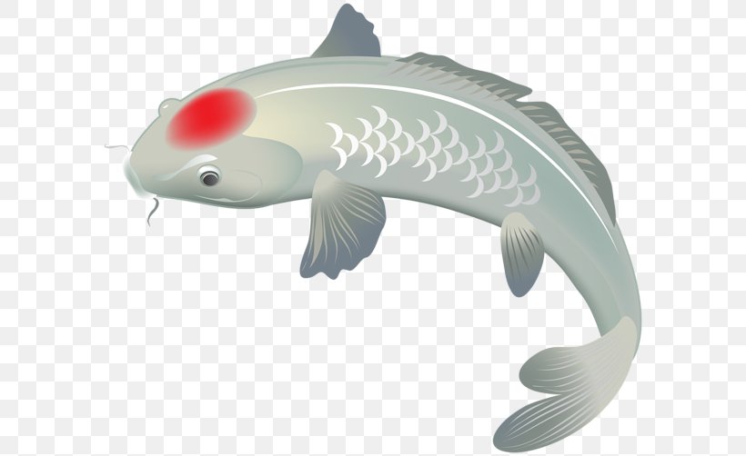 Koi Fish Clip Art, PNG, 600x502px, Koi, Animal, Art Museum, Biology, Fauna Download Free