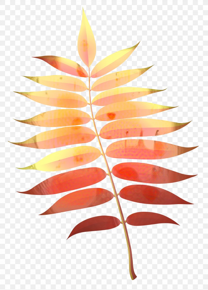 Tree Branch, PNG, 2152x2999px, Branch, Flower, Heliconia, Leaf, Petal Download Free