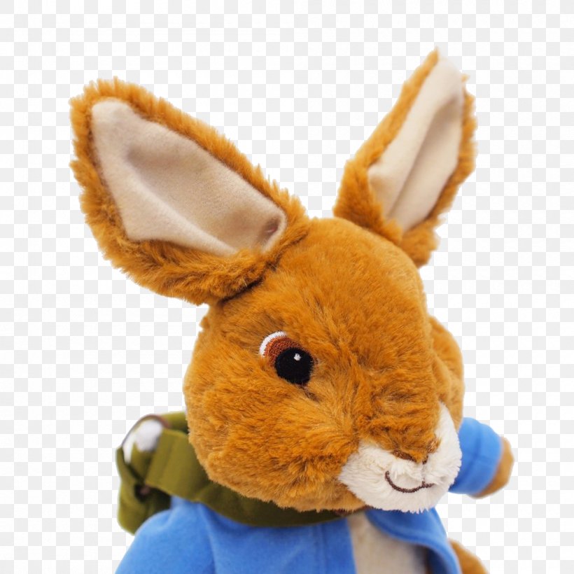 Domestic Rabbit European Rabbit Hare Easter Bunny, PNG, 1000x1000px, Domestic Rabbit, Child, Easter Bunny, European Rabbit, Fur Download Free