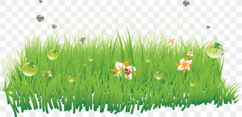 Grass SWF, PNG, 1256x612px, Grass, Aquatic Plant, Commodity, Ecosystem, Field Download Free