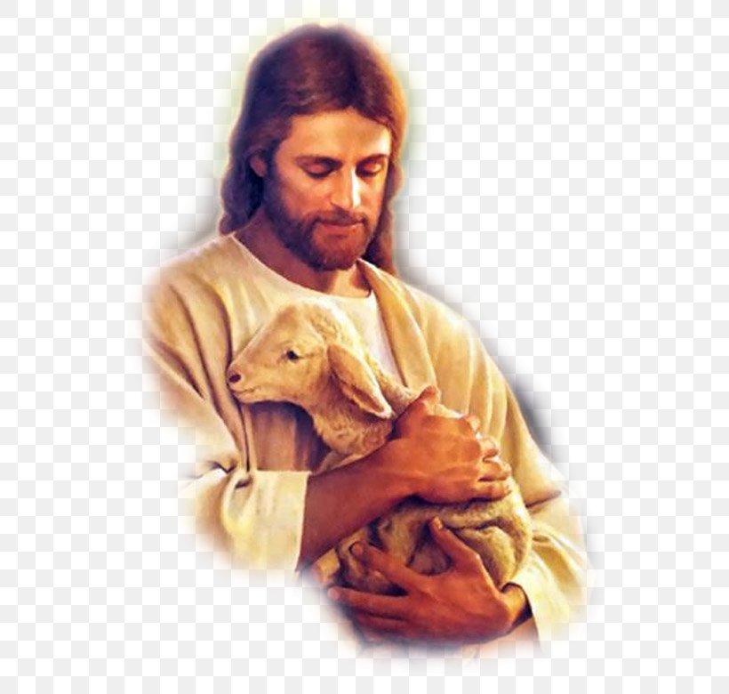 Jesus Bible Christianity Son Of God, PNG, 548x780px, Jesus, Belief, Bible, Child, Christian Download Free