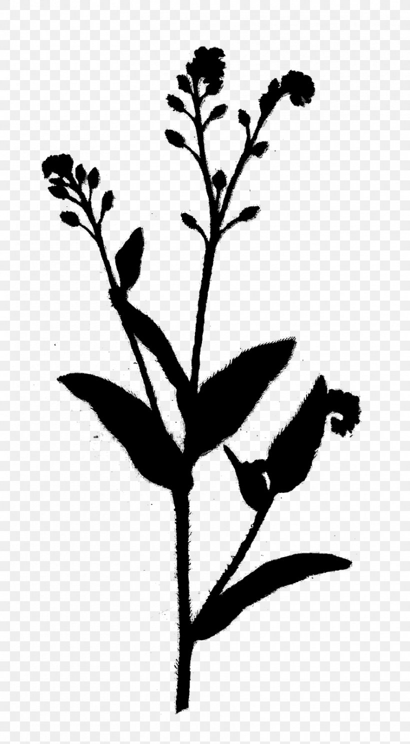 Twig Plant Stem Flower Leaf Silhouette, PNG, 883x1600px, Twig, Blackandwhite, Botany, Branch, Flower Download Free