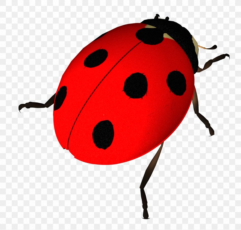 Insect Ladybird Clip Art, PNG, 1667x1589px, Insect, Arthropod, Beetle, Display Resolution, Gimp Download Free