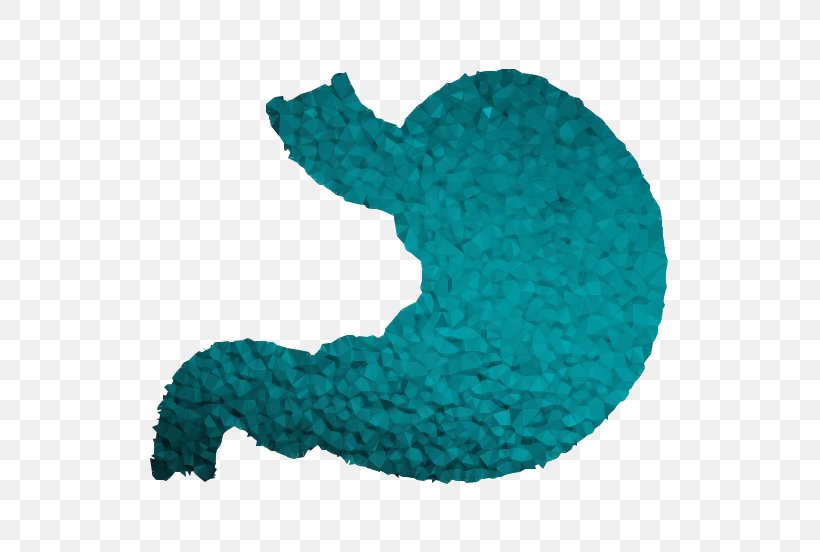 Organism Wool Turquoise, PNG, 552x552px, Organism, Aqua, Blue, Green, Symbol Download Free