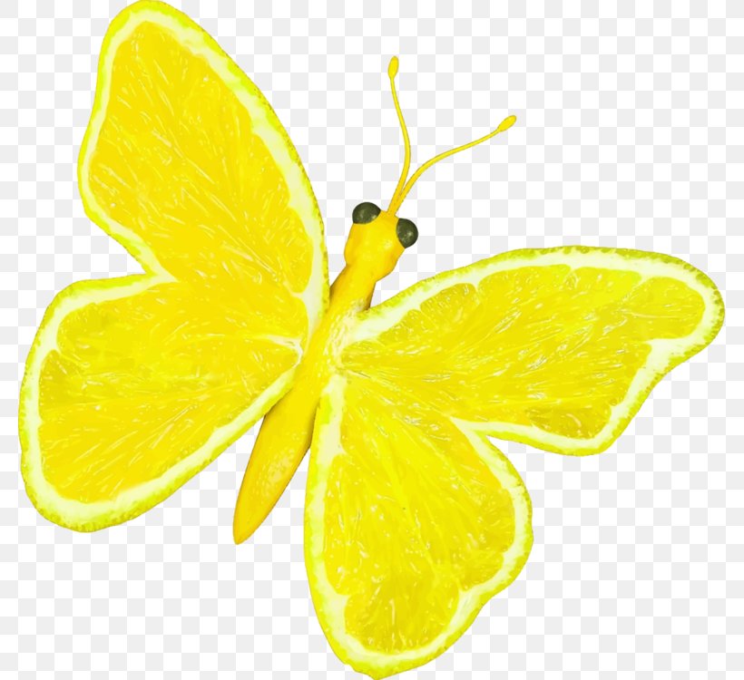 Cartoon Lemon, PNG, 779x750px, Butterfly, Citrus, Citrus Swallowtail, Fruit, Insect Download Free