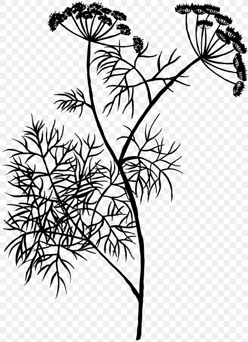 Leaf Floral Design Plant Stem Pattern, PNG, 1741x2400px, Leaf, Anthriscus, Art, Blackandwhite, Botany Download Free