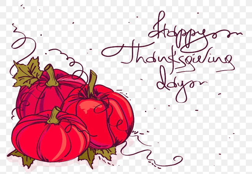 Public Holiday Thanksgiving Dinner Clip Art, PNG, 800x567px, Public Holiday, Christmas, Floral Design, Floristry, Flower Download Free