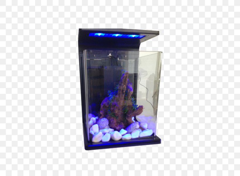 Aquarium Lighting Aquarium BG, PNG, 800x600px, Aquarium, Aquarium Bg, Aquarium Lighting, Cobalt Blue, Com Download Free