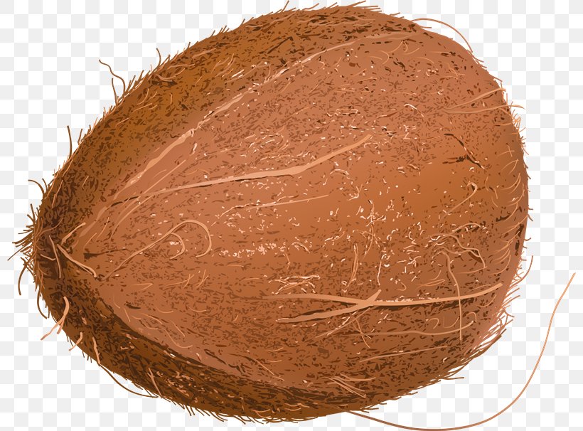Coconut Clip Art, PNG, 800x606px, Coconut, Commodity, Drawing, Information, Photoscape Download Free