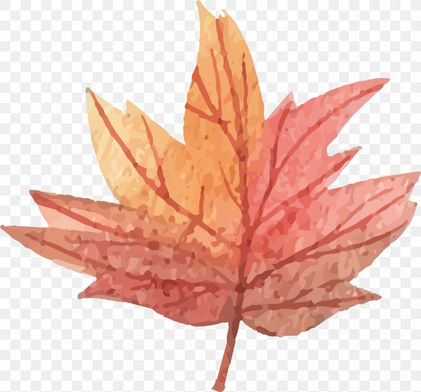 Maple Leaf, PNG, 1644x1529px, Maple Leaf, Drawing, Green, Leaf, Maple Download Free