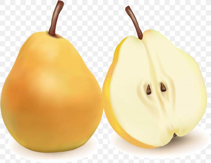 Pear Fruit Kompot Clip Art, PNG, 1435x1111px, Pear, Berry, Cucurbita, Food, Fruit Download Free