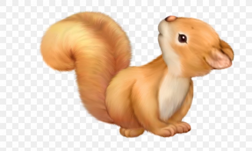 Squirrel Cuteness Animation Clip Art, PNG, 2000x1200px, Squirrel, Acorn,  Animation, Cartoon, Cuteness Download Free