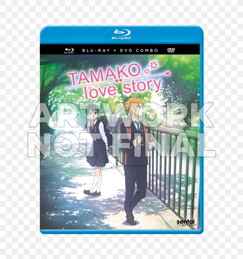Blu-ray Disc Tamako Kitashirakawa Film DVD Box Set, PNG, 1012x1080px, Watercolor, Cartoon, Flower, Frame, Heart Download Free
