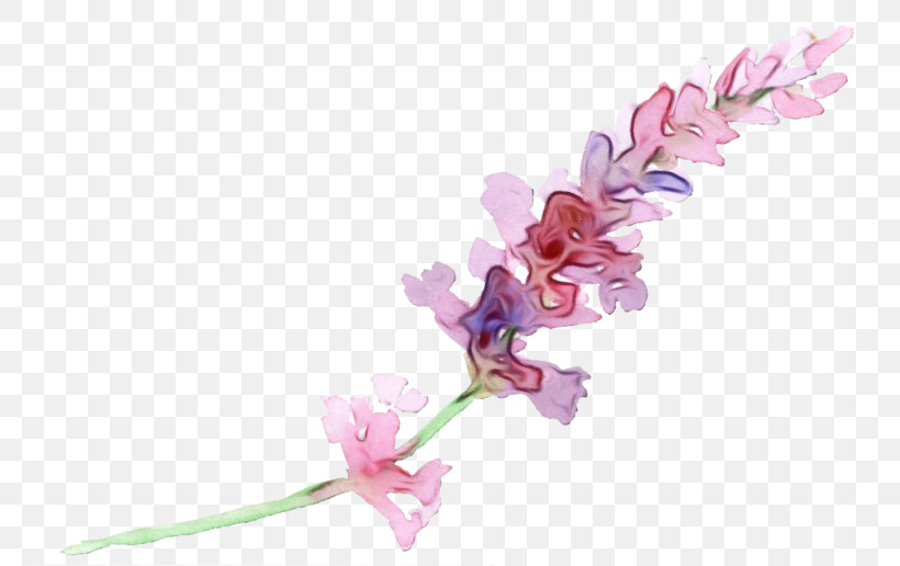 Cut Flowers Plant Stem Petal Flower Pink M, PNG, 768x516px, Watercolor, Biology, Cut Flowers, Flower, Paint Download Free