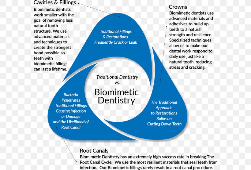 Dentistry Dental Restoration Biomimetics Dental Surgery, PNG, 600x557px, Dentistry, Area, Biology, Biomimetics, Brand Download Free
