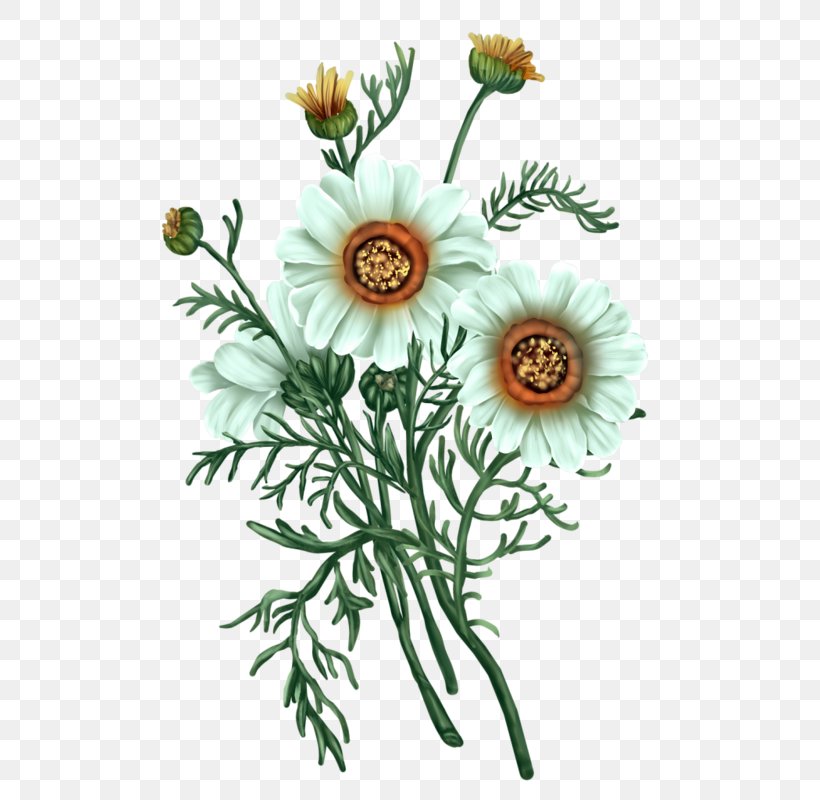 Flower Blog Tutorial Floral Design, PNG, 557x800px, Flower, Aster, Blog, Chamaemelum Nobile, Chrysanthemum Download Free