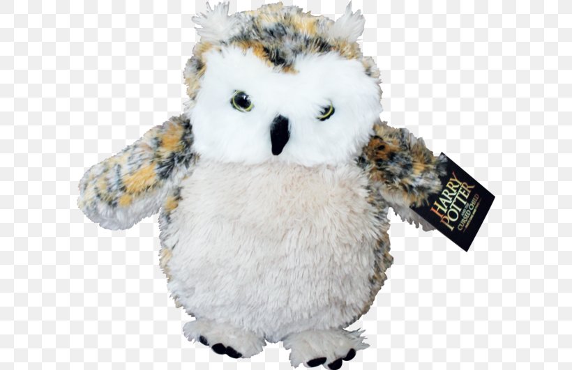 Owl Harry Potter And The Cursed Child Stuffed Animals & Cuddly Toys Plush Measurement, PNG, 600x531px, Owl, Bird, Bird Of Prey, Biscuits, Harry Potter And The Cursed Child Download Free