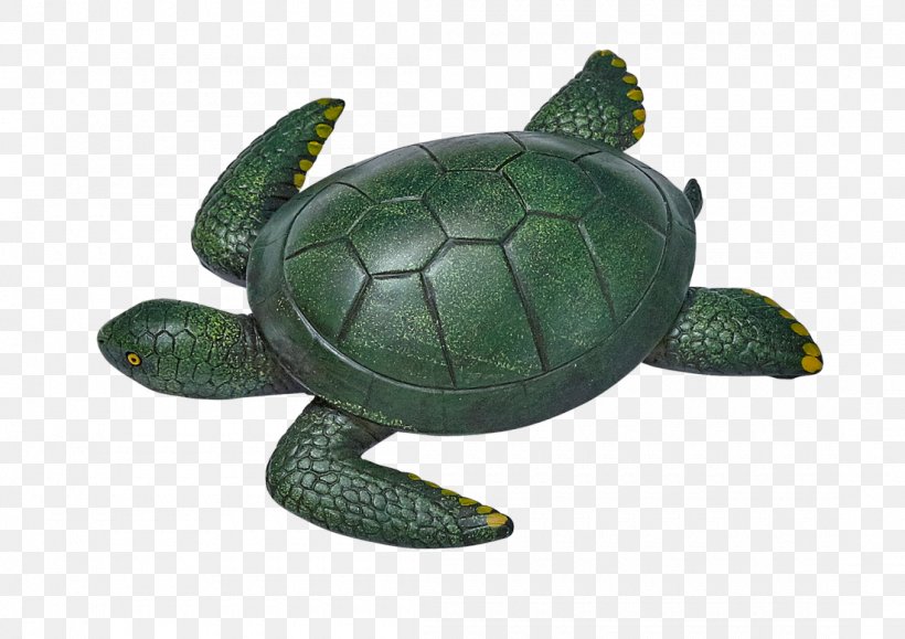 Sea Turtle Tortoise Pond Turtles Artificial Stone, PNG, 1100x777px, Sea Turtle, Artificial Stone, Emydidae, Pond Turtles, Reptile Download Free