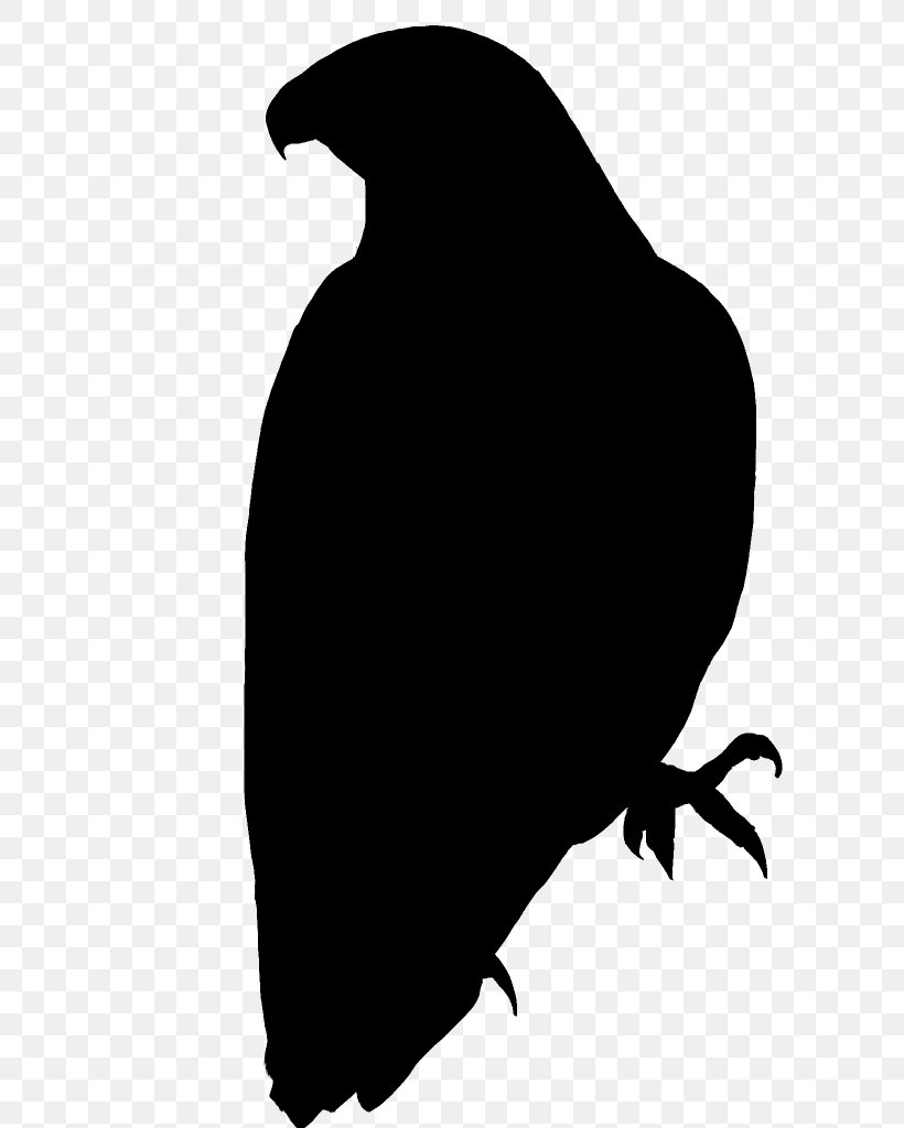 Beak Fauna Silhouette Font Black M, PNG, 768x1024px, Beak, Bird, Black M, Blackandwhite, Crow Download Free