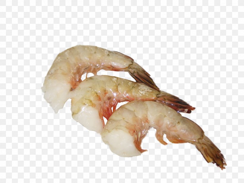 Caridea Lobster Shrimp Seafood Fettuccine Alfredo, PNG, 1600x1200px, Caridea, Animal Source Foods, Caridean Shrimp, Dendrobranchiata, Fettuccine Alfredo Download Free