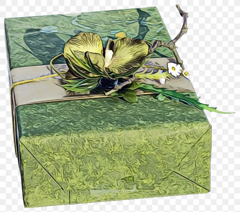 Green Box Leaf Gift Wrapping Plant, PNG, 1200x1060px, Christmas Gift, Box, Flower, Gift, Gift Wrapping Download Free