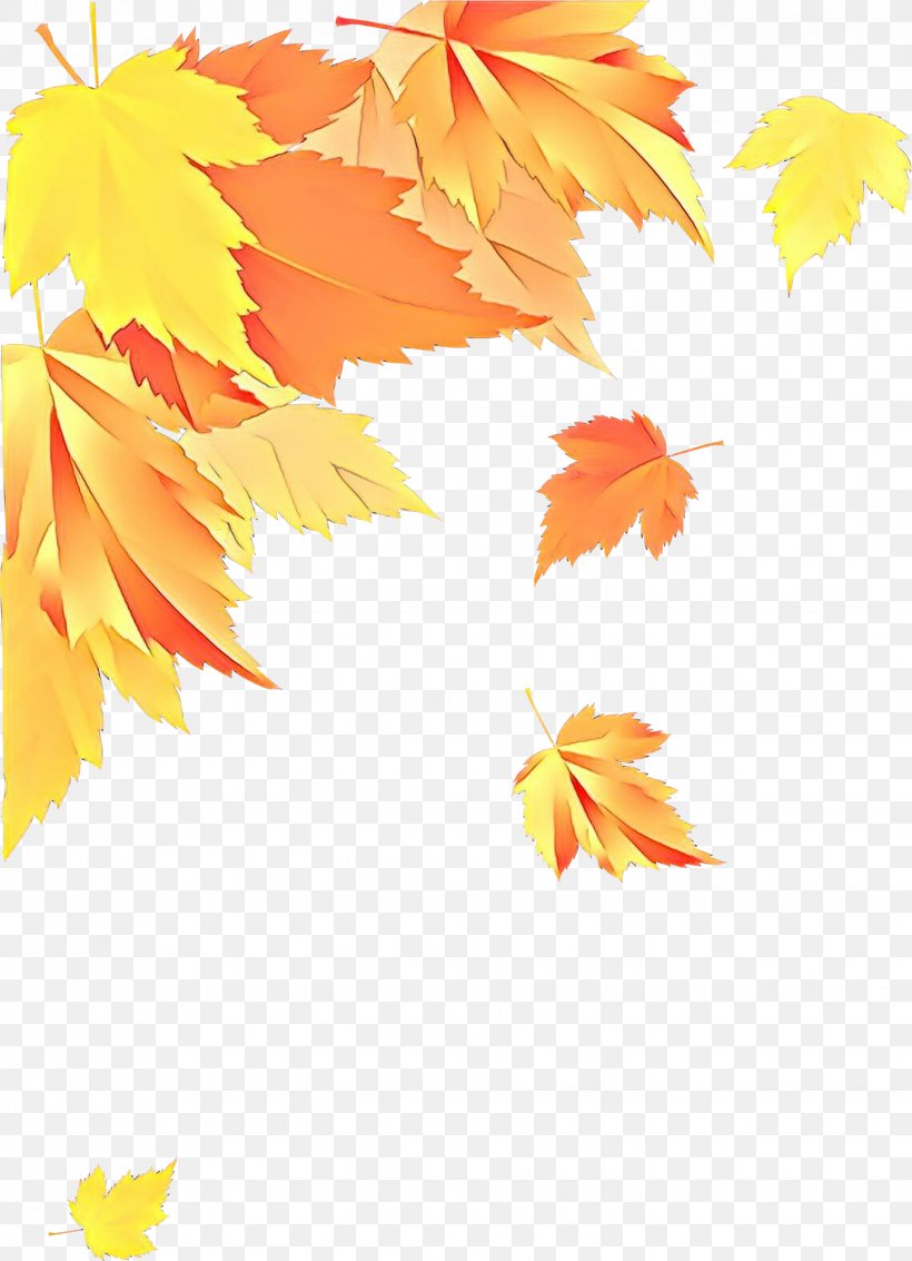 Maple Leaf, PNG, 1447x2001px, Cartoon, Autumn, Black Maple, Leaf, Maple Download Free