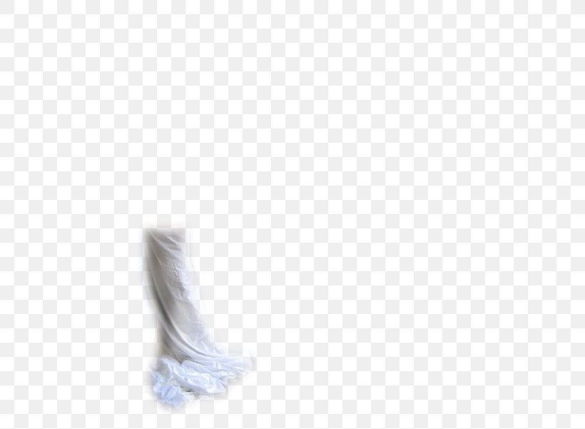 Shoe Neck Feather, PNG, 480x601px, Shoe, Feather, Neck, White, Wing Download Free