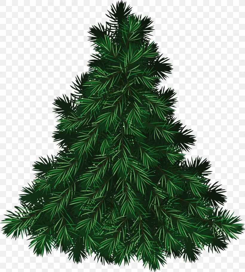 The Fir-Tree Pine Balsam Fir Cedar The Little Fir Tree, PNG, 3160x3514px, Fraser Fir, Balsam Fir, Cedar, Christmas, Christmas Decoration Download Free