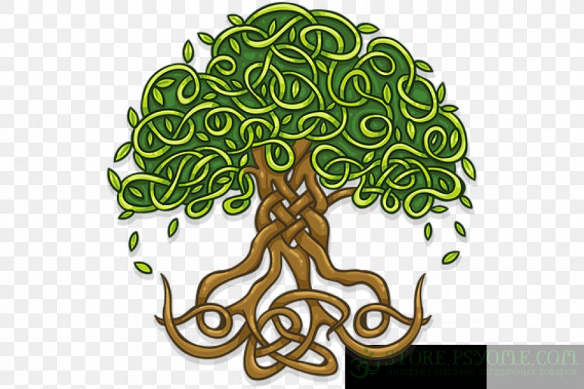Wall Decal Tree Of Life Sticker, PNG, 1200x800px, Wall Decal, Branch, Celtic Sacred Trees, Color, Decal Download Free