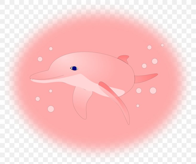 Amazon River Dolphin Desktop Wallpaper Pink+Dolphin Clothing, PNG, 1381x1159px, River Dolphin, Amazon River Dolphin, Animal, Beak, Bird Download Free