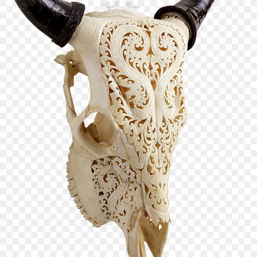 Animal Skulls Cattle Bone Human Skeleton, PNG, 1000x1000px, Watercolor, Cartoon, Flower, Frame, Heart Download Free